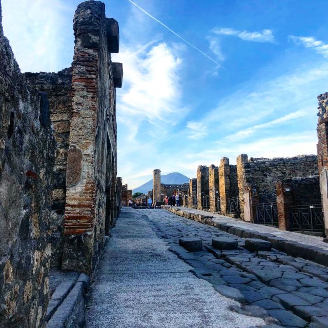 From Amalfi Coast: Pompeii Guided Tour - Who will get the most from this Pompeii trip