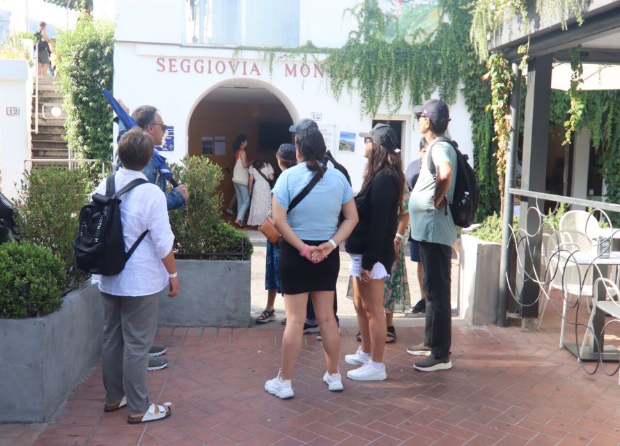 From Capri: Blue Grotto, Capri and Anacapri Guided Tour - Transport, walking, and free time