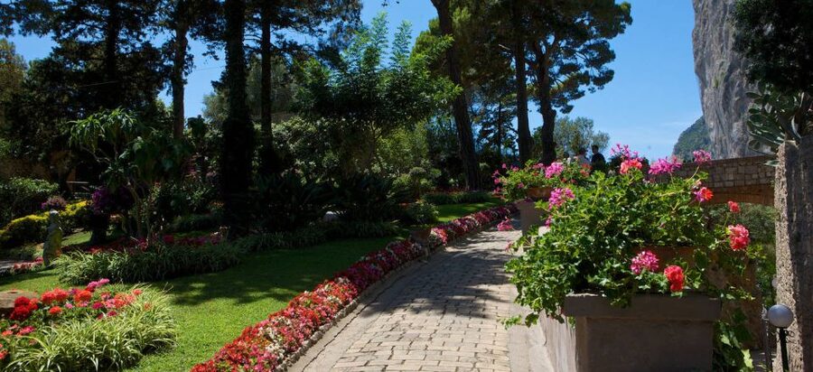 From Capri: Capri Walking Tour - Capri’s main square and Augustus Gardens