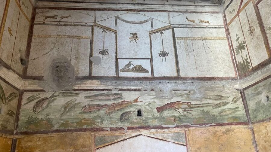 From Positano: Pompeii, Vesuvius, & Wine Tasting with Lunch - Key points to know before booking