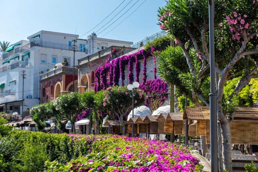 From Sorrento: Capri, Anacapri, & Blue Grotto Full-Day Trip - Practical advice for making the day easier
