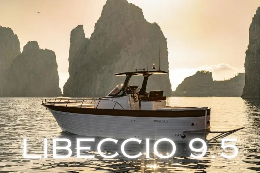 From Sorrento: Capri and Amalfi Coast Private Boat Tour - Crew, language, and group size