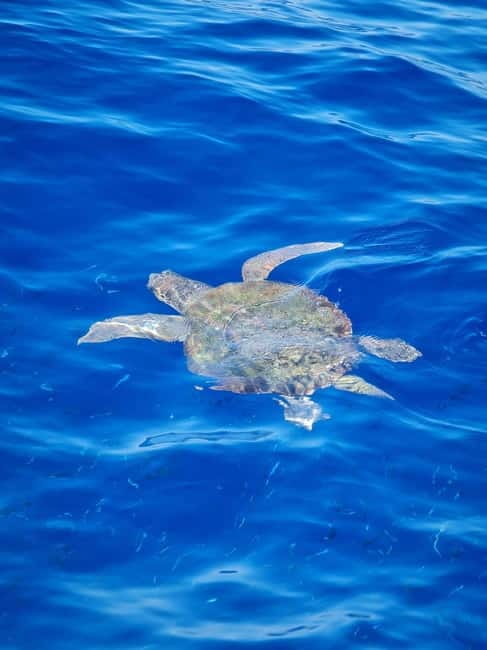 From Sorrento: Capri Boat Tour with Blue Grotto Visit - Three hours on Capri, and how to use them