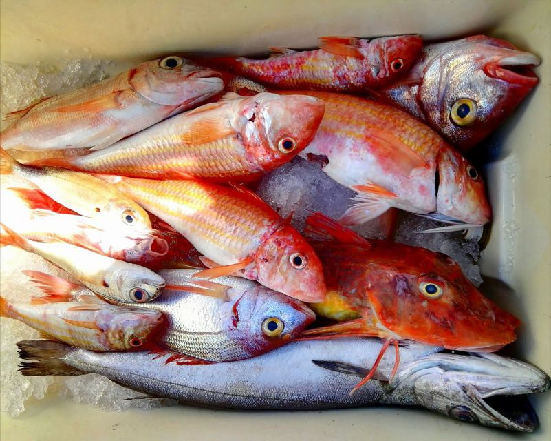 From Sorrento: Fishing in Capri with Lunch - What this Capri fishing day really offers