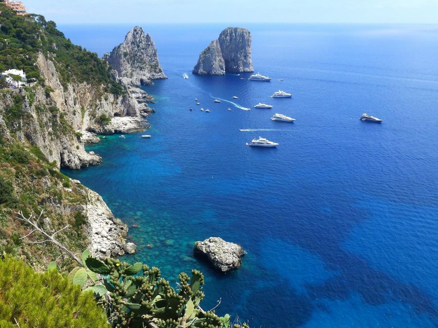 From Sorrento: Fishing in Capri with Lunch - Limoncello on the return to Sorrento