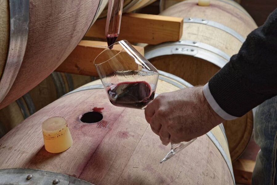 From Sorrento: Full-Day Pompeii & Wine Tasting Tour - Lunch at Bosco dei Medici