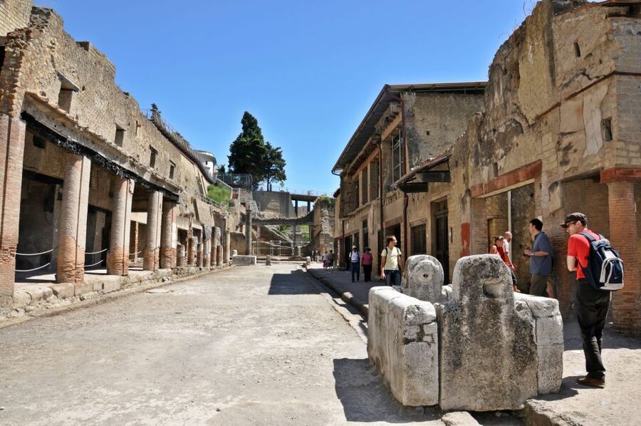 From Sorrento: Herculaneum Guided Tour with easy Lunch - Lunch at a vineyard before the ruins