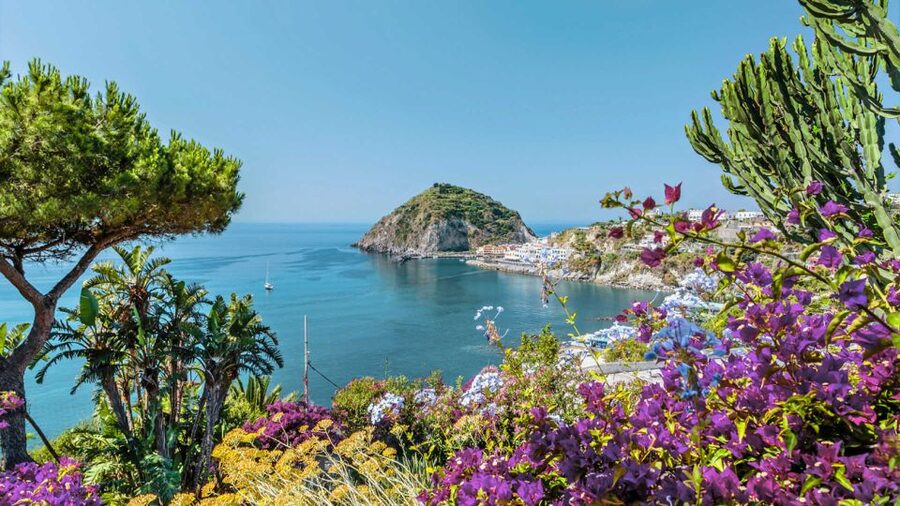 From Sorrento: Ischia and Procida Boat Tour - FAQ