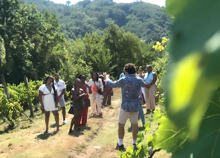 From Sorrento & Naples: Cortecorbo Wine & Cooking Experience - Who should book this day