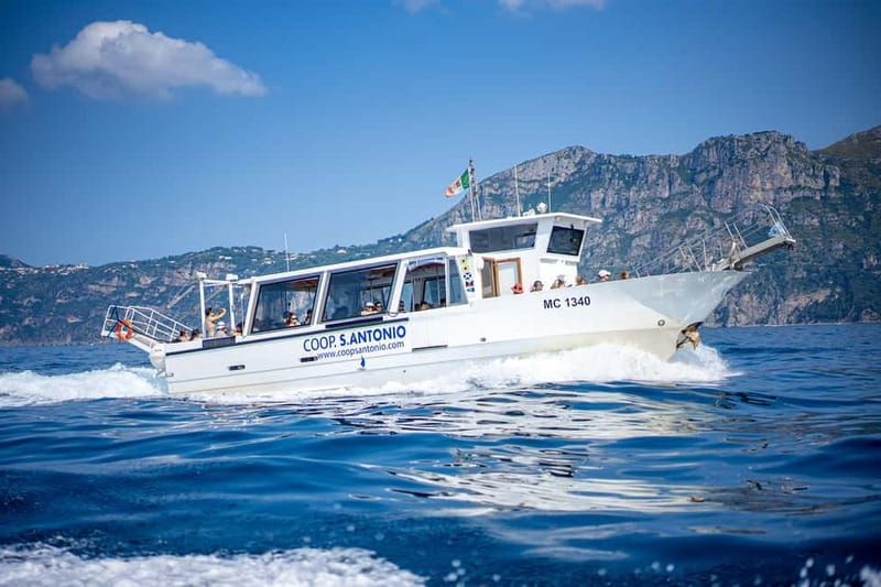 From Sorrento/Nerano: Amalfi and Positano Boat Tour - Amalfi: cathedral, lemons, and time to wander