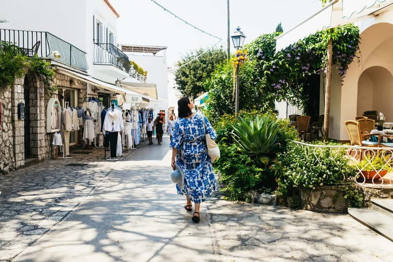From Sorrento/Nerano: Capri Island Cruise with Guide Onboard - The return cruise is more than a transfer