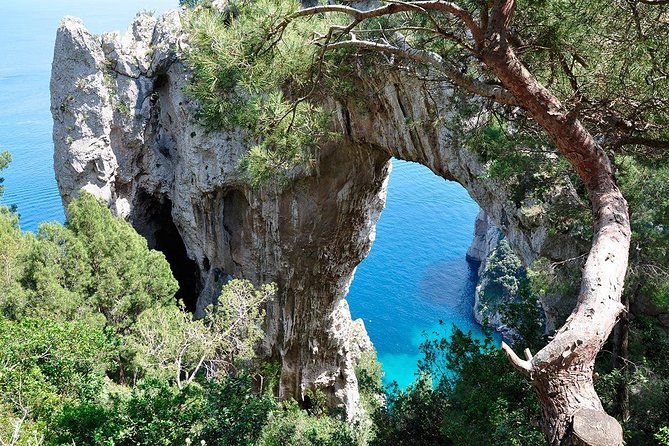 From Sorrento/Nerano: Capri Shared Tour - without pick up - Capri and Anacapri are not the same experience