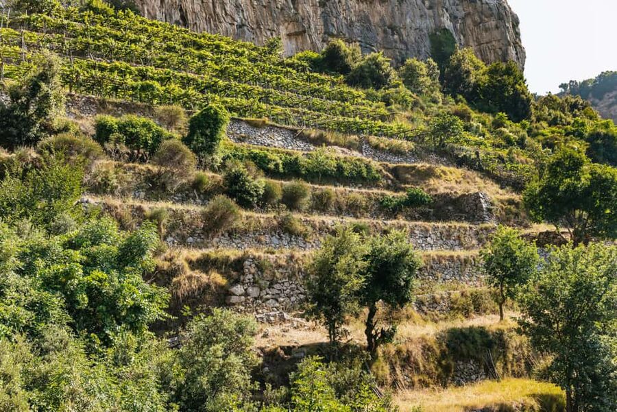 From Sorrento: Path of the Gods Guided Hike with Transfers - Choosing the high route or the gentler path