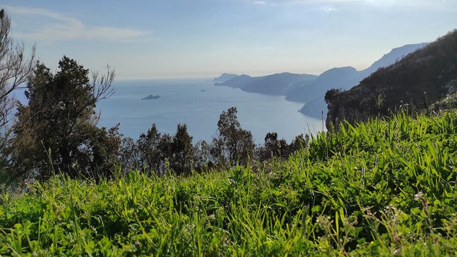 From Sorrento: Path of the Gods Hike with Tasting Stop - How the transport affects the day