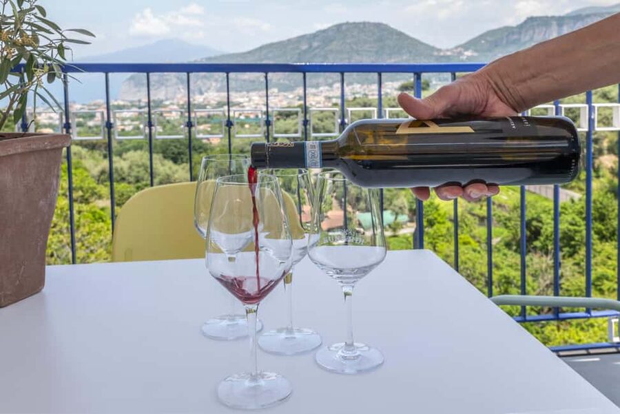 From Sorrento: Pizza-Making Class w/ View of Mount Vesuvius - Practical Details Before You Book