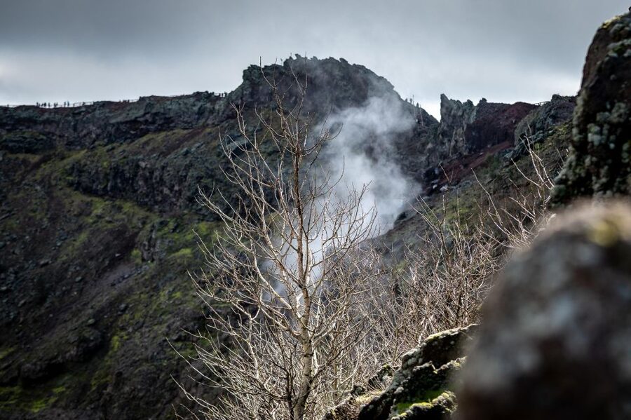 From Sorrento: Pompeii and Vesuvius Guided Tour with Lunch - FAQ