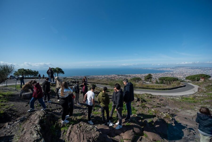 From Sorrento: Pompeii and Vesuvius Guided Tour with Lunch - What the $130.28 price really covers