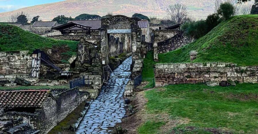From Sorrento: Pompeii and Vesuvius Skip-the-Line Tour - Pickup from Sorrento and the nearby towns