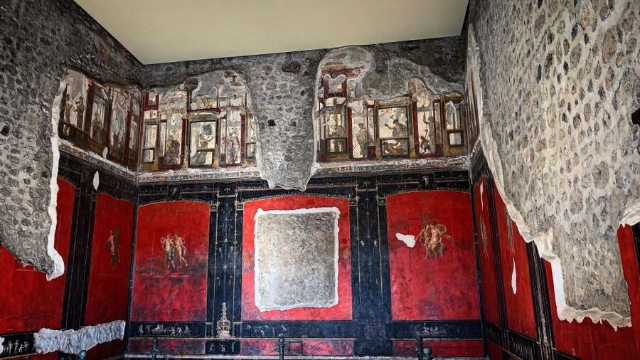 From Sorrento: Pompeii and Vesuvius Skip-the-Line Tour - Who should book this tour?