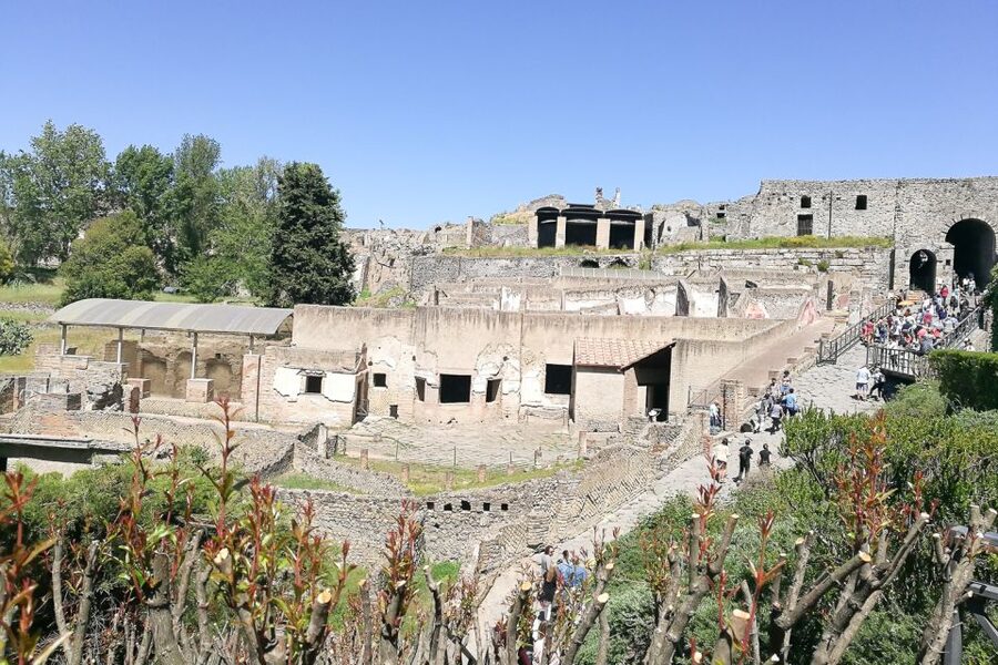 From Sorrento: Pompeii and Vesuvius Tour - Who should book this day trip