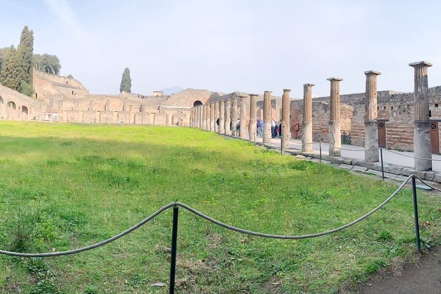 From Sorrento: Pompeii and Vesuvius Tour - Climbing Vesuvius to the crater rim