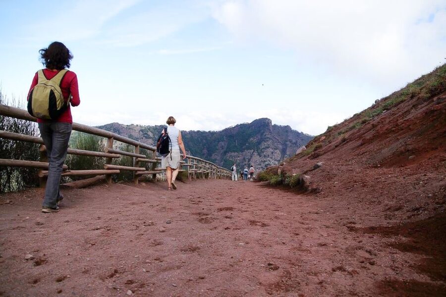 From Sorrento: Pompeii and Vesuvius Tour - The guides and how much they add
