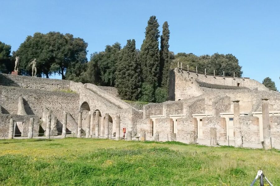 From Sorrento: Pompeii and Vesuvius Tour - Price and overall value at $135.94