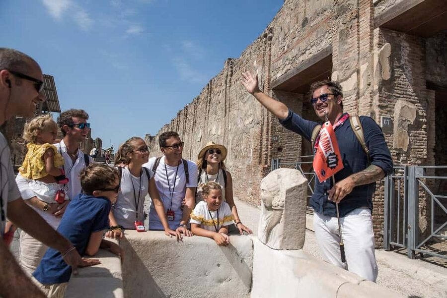 From Sorrento: Pompeii Half-Day Skip-the-Line Tour - The value of the $80.55 price