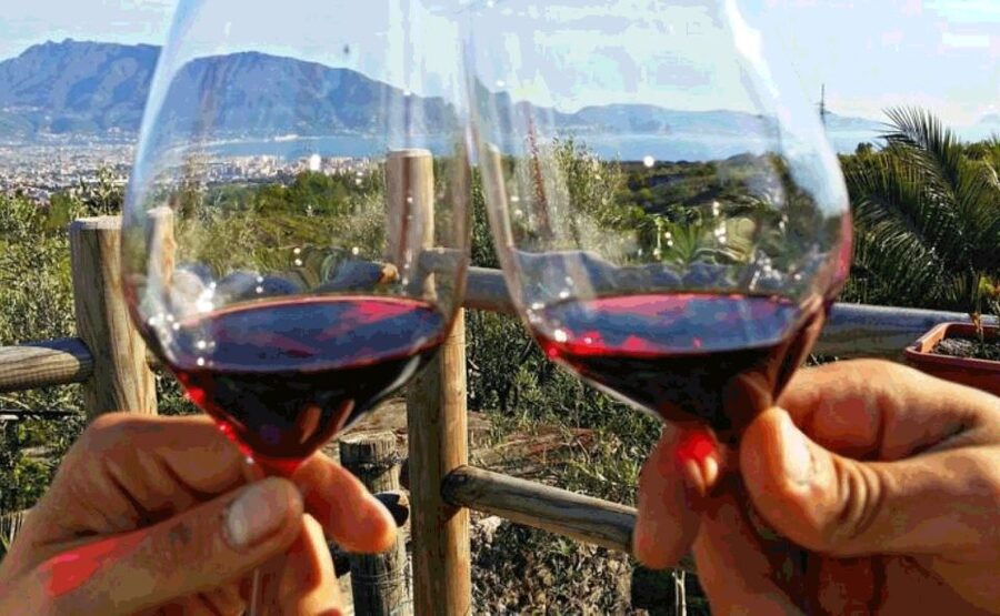 From Sorrento: Pompeii & Mt. Vesuvius Tour with Lunch & Wine - What the $192.58 price includes