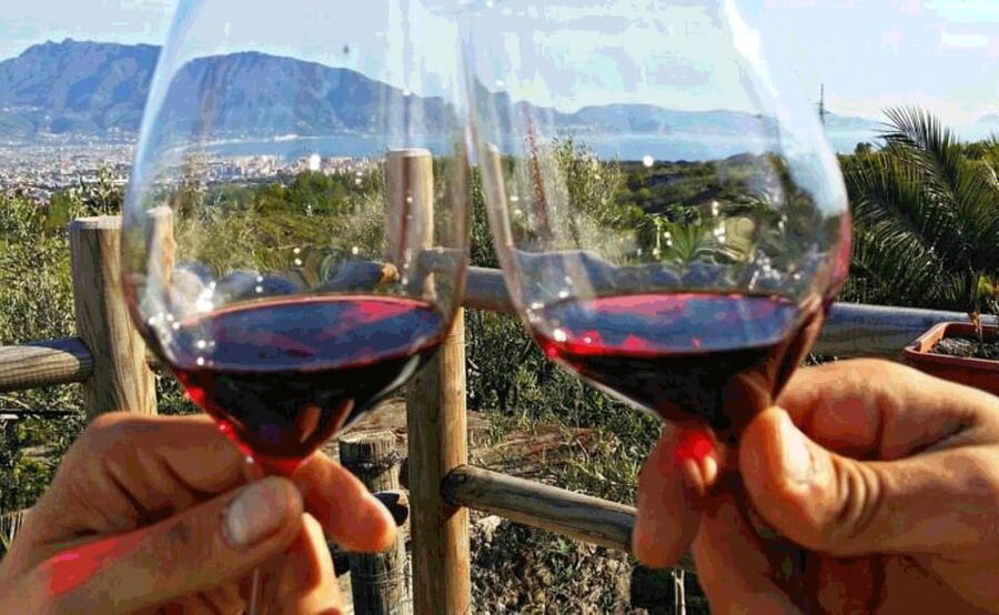From Sorrento: Pompeii & Mt. Vesuvius Tour with Lunch & Wine - Should you book this Pompeii and Vesuvius tour?