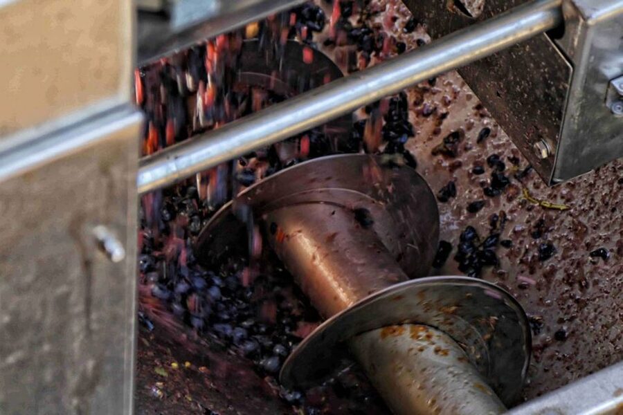From Sorrento: Winery Tour, Tasting & Lunch - Finding the private transfer at Pompeii Scavi