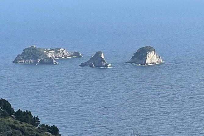 Full-Day Sorrento Positano Pompeii Tour - A closer look at the value of $1,360.37
