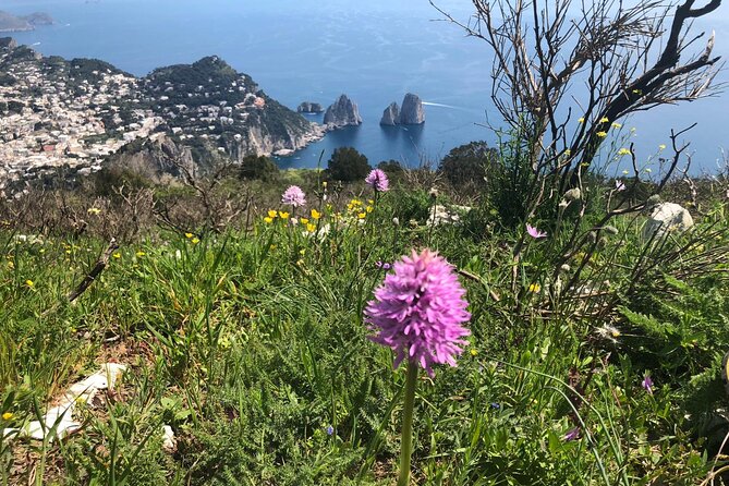 Gastronomic Hike on the Path of the Gods with Food Tasting - Food stops that turn a hike into a local day