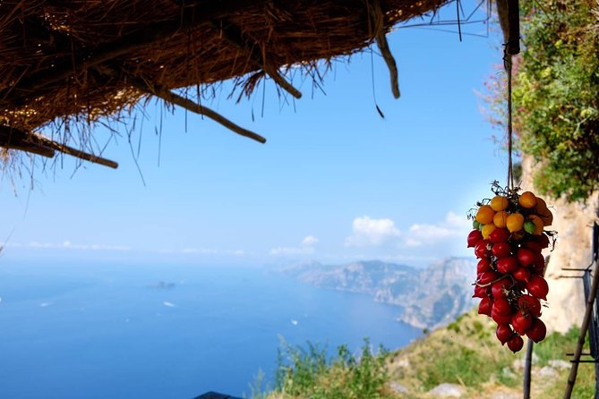 Guided Day Hike on the Path of the Gods with Sorrento Transfer - Key points at a glance