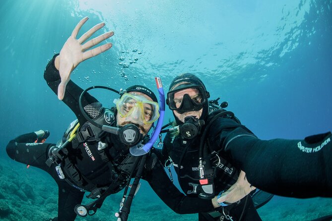 Guided diving for beginners without certification from Sorrento - Key points to know before booking