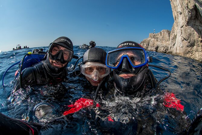 Guided diving for beginners without certification from Sorrento - What you may see around Punta Campanella