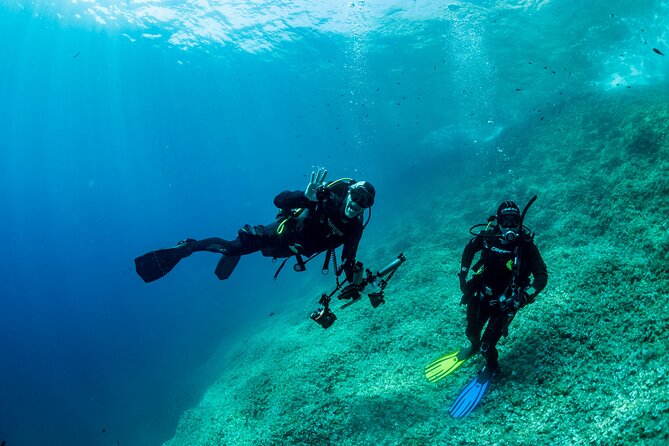 Guided diving for beginners without certification from Sorrento - A good option for mixed-activity families