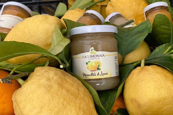 Guided tour of a historic lemon grove in Sorrento - Who will enjoy this Sorrento experience?