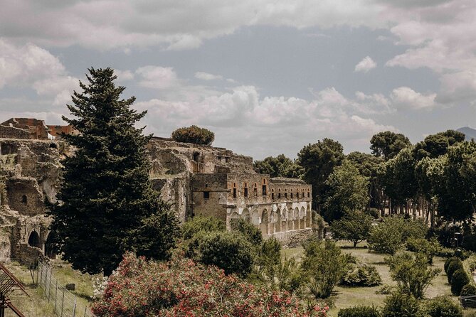Guided Tour of Pompei, Lunch and Wine from Sorrento - Leaving Sorrento at 8:30 a.m.
