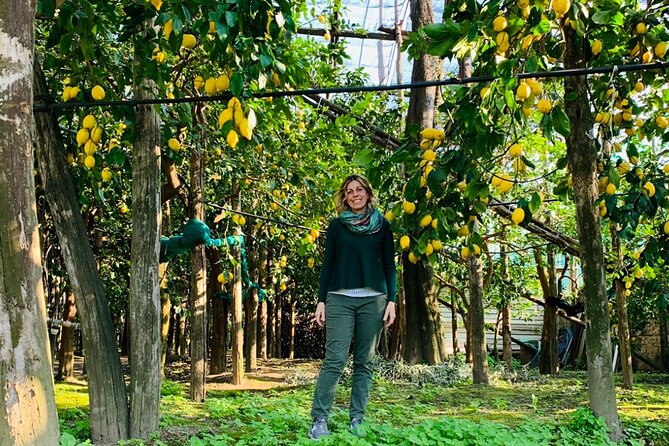 Guided tour of the history and tradition of the Sorrento lemon - A Lemon Grove Above the Sorrento Coast