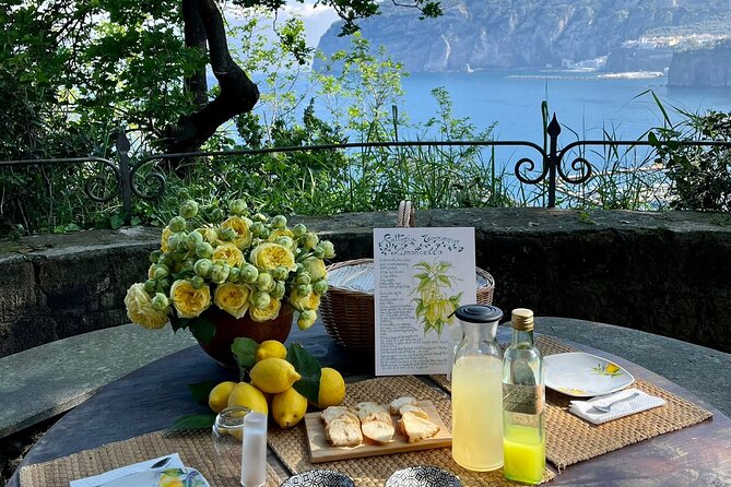 Guided tour of the history and tradition of the Sorrento lemon - The Sea-View Tasting at the End