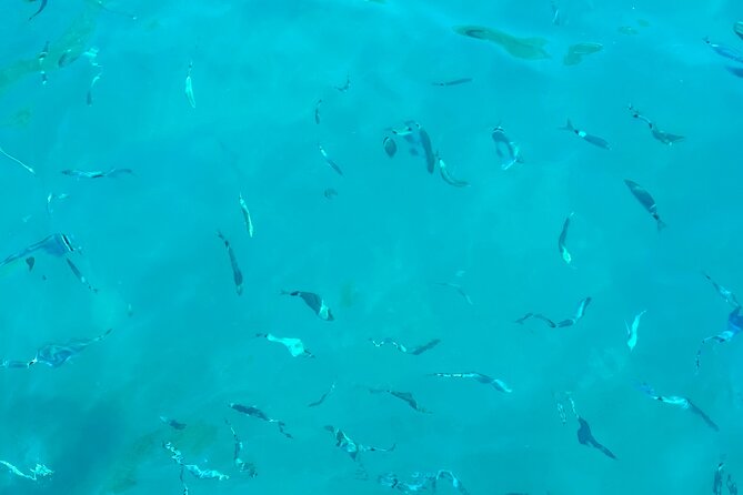 Half-Day Amalfi Coast Boat & Snorkeling Small Group Tour - Prosecco, fruit, and a comfortable boat setup
