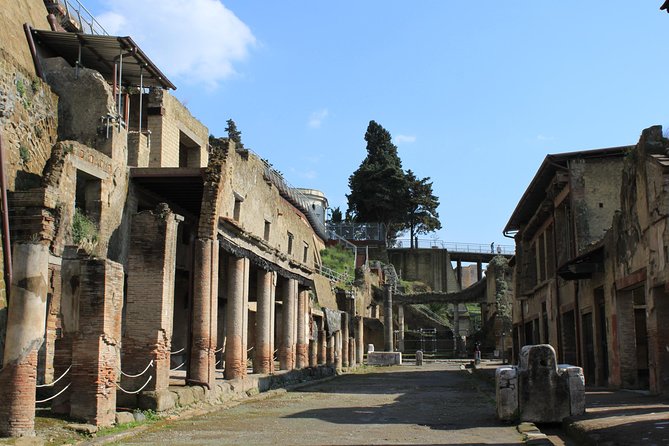 Half Day Herculaneum from Sorrento - The buildings and details that make Herculaneum special