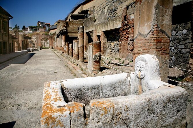 Half Day Morning Tour of Herculaneum from Sorrento - Key points before you book