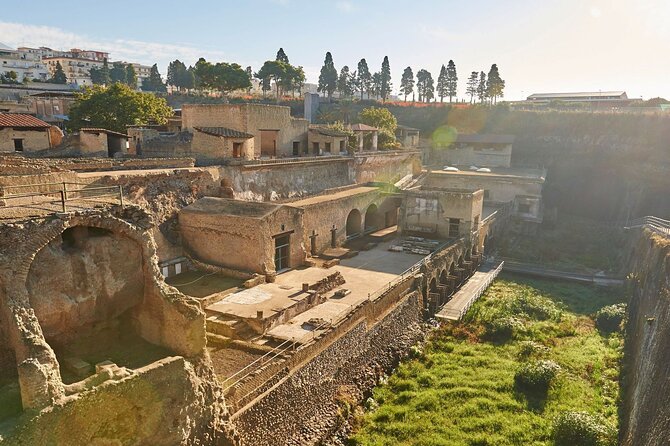 Half Day Morning Tour of Herculaneum from Sorrento - The journey back and your afternoon
