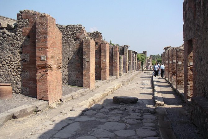 Half Day Morning Tour of Pompeii from Sorrento - What you see in two hours