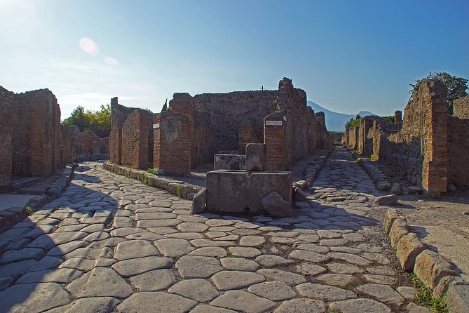Half Day Morning Tour of Pompeii from Sorrento - The guide can make or break the visit