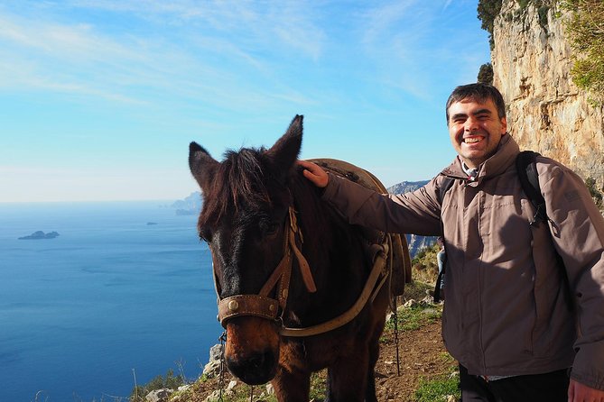 Half-Day Private Amalfi Coast Path of the Gods Hike with Lunch - Price and value at $336.07 per person