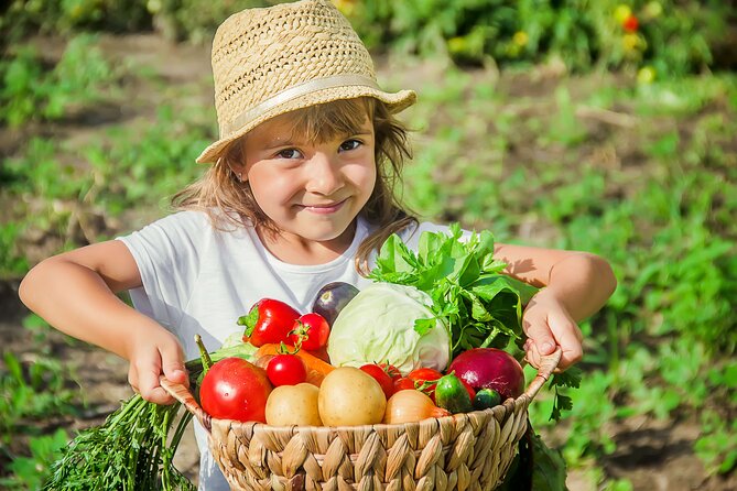 Hands-On Cooking Class & Farmhouse Tour on the Amalfi Coast - What makes this Amalfi class worth four hours