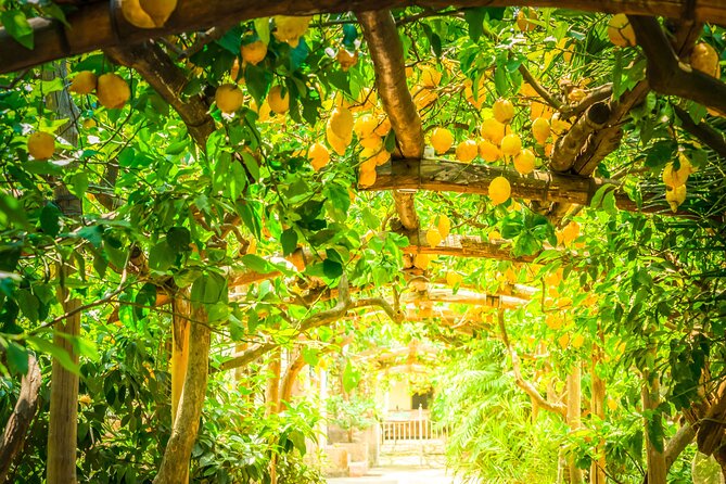 Hands-On Cooking Class & Farmhouse Tour on the Amalfi Coast - Why the $156 price can make sense